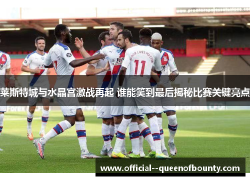 莱斯特城与水晶宫激战再起 谁能笑到最后揭秘比赛关键亮点